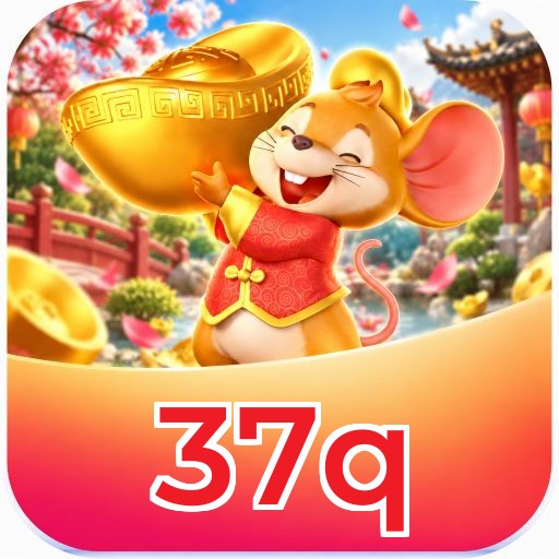 37q System Requirements