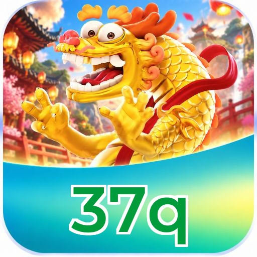 37q Logo
