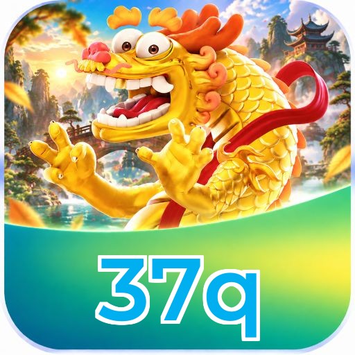 37q Performance