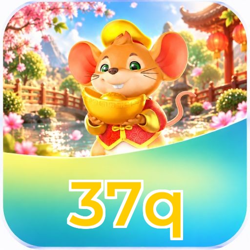 37q Interface